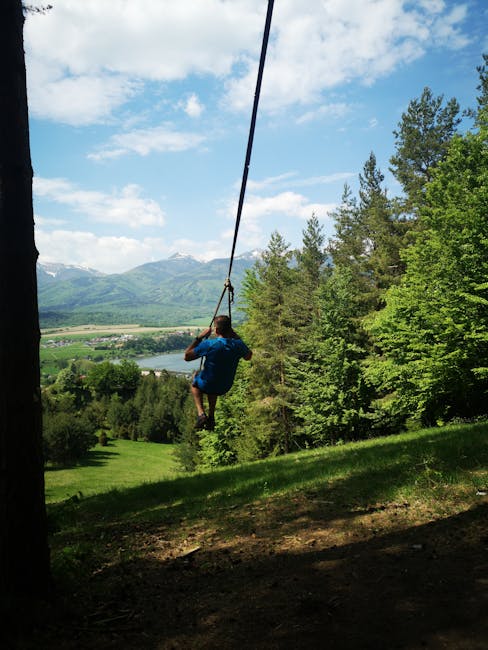 Descoperă Aventura Park Codrii de Piatră, o oază de distracție la doar 15 minute de Piatra-Neamț