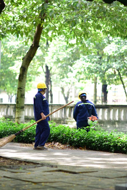 Oportunități de angajare la Servicii Edilitare pentru Comunitate Mioveni