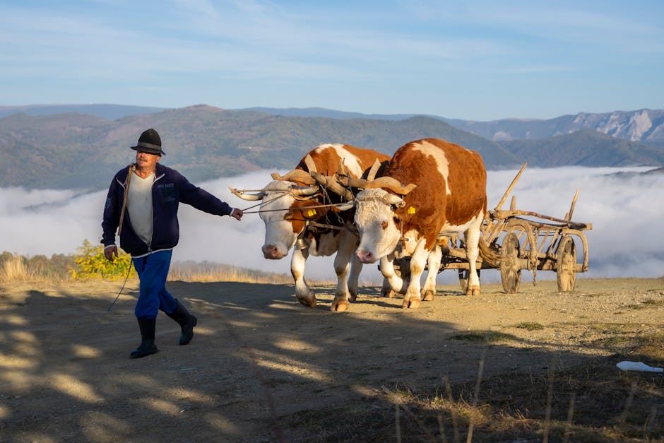 Acordul Mercosur: Răzvan Biro avertizează asupra riscurilor pentru fermierii români