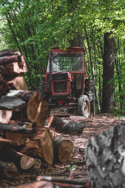 Descoperă TAF-X Combi: noul tractor forestier revoluționar lansat de IRUM