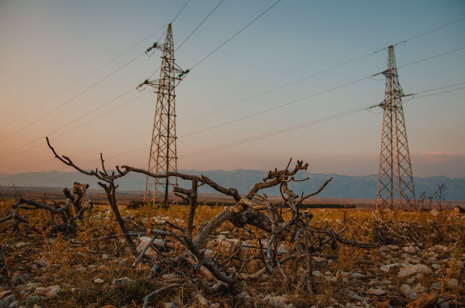 România asigură securitatea energetică în fața secetei și caniculei