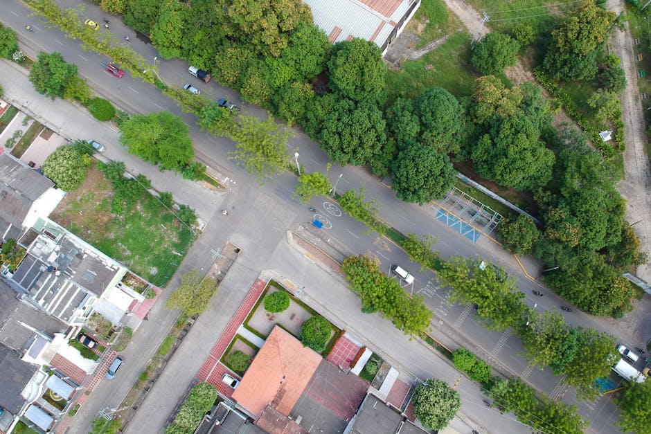 Gafa directorului DIAP Tulcea în ședința Consiliului Local: O confuzie între intravilan și extravilan