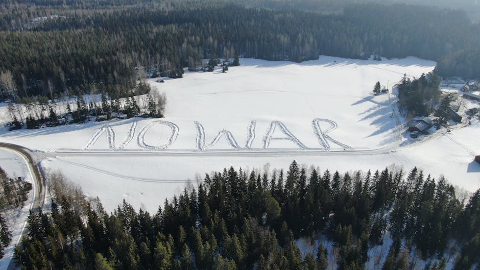 Finlanda propune o Alianță Nord-Atlantică mai europeană în dialogul cu Trump