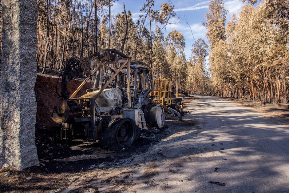 Incendiu devastator în Dornișoara: pagube de 300.000 de euro în exploatarea forestieră