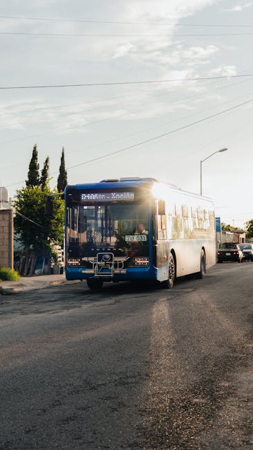 Atenție călători: Autobuzele Csíki Trans au trasee modificate în timpul Zilelor Municipiului Miercurea-Ciuc