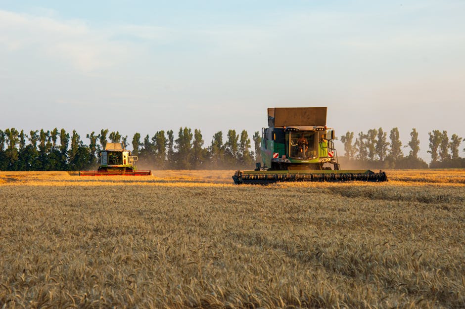 Ce spun europenii despre agricultura și siguranța alimentară în 2023?