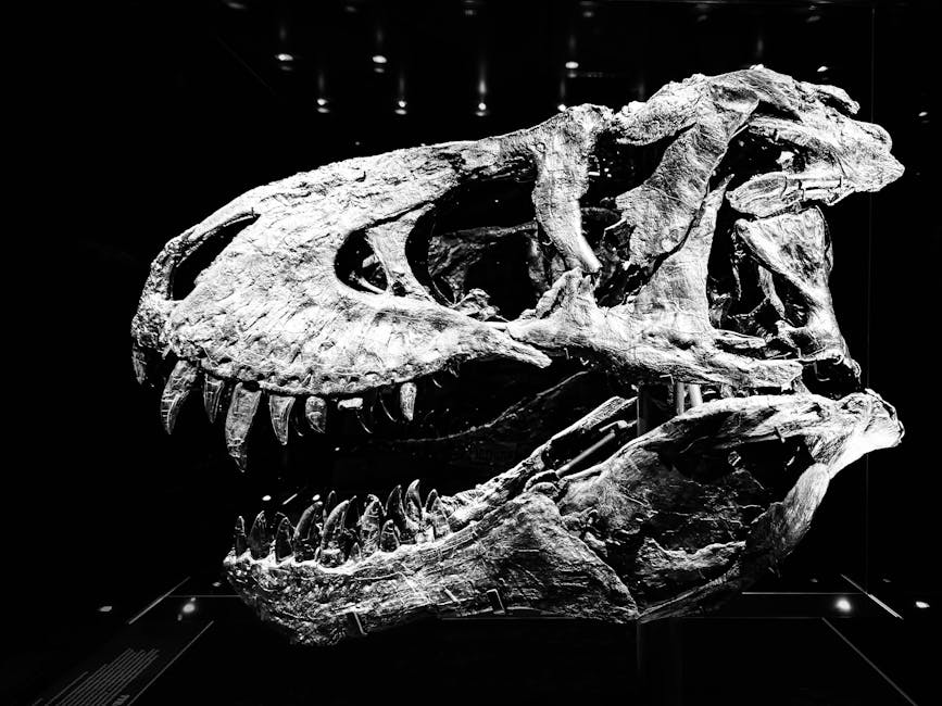 Un schelet impresionant de tiranozaur s-a vândut la licitație la un preț record