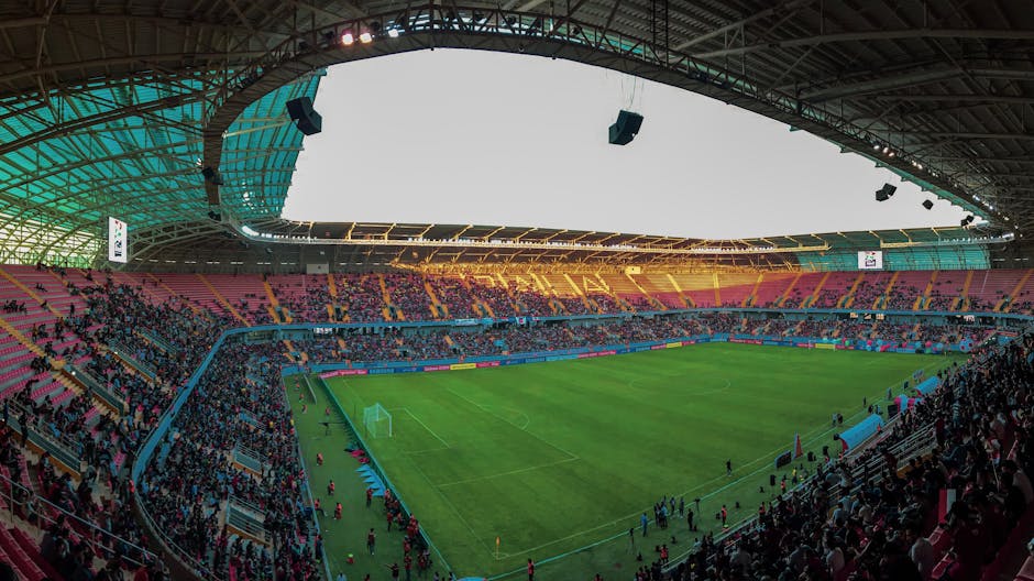 Gazon refăcut pe Arena Națională, probleme pentru Petrolul Ploiești