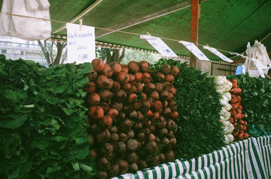 Descoperă Toamna Bistrițeană: povești de succes din agricultura locală