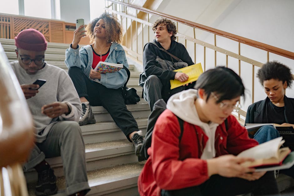 Studenți de la UMFST participă la un program Erasmus+ la Université de Strasbourg