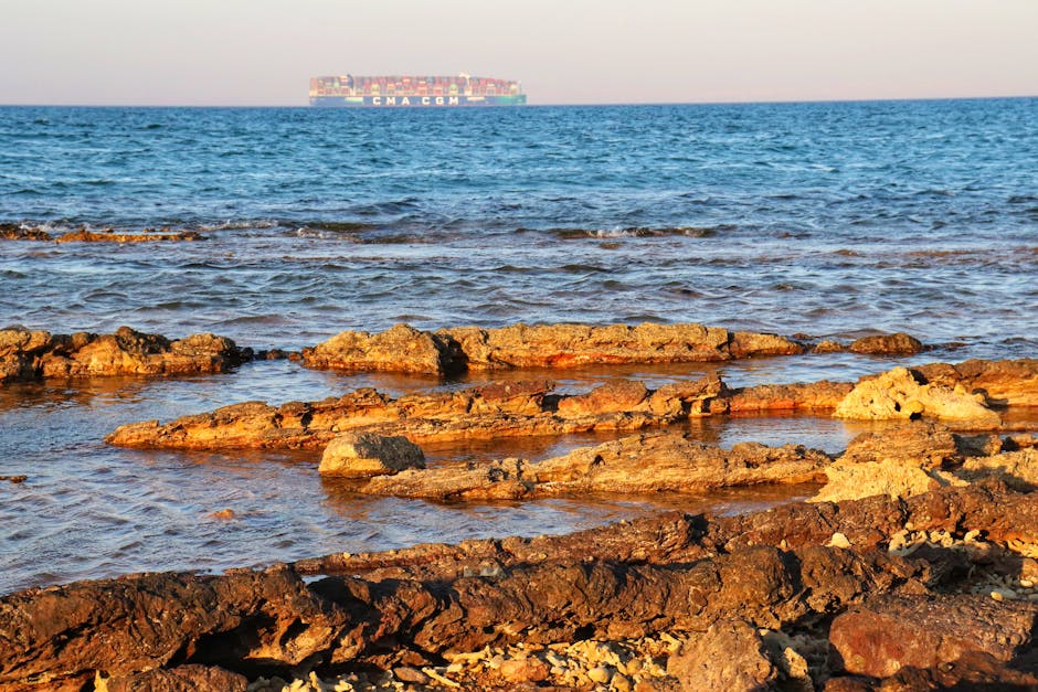 O premieră maritimă: prima navă franceză traversează Strâmtoarea Hormuz după izbucnirea războiului
