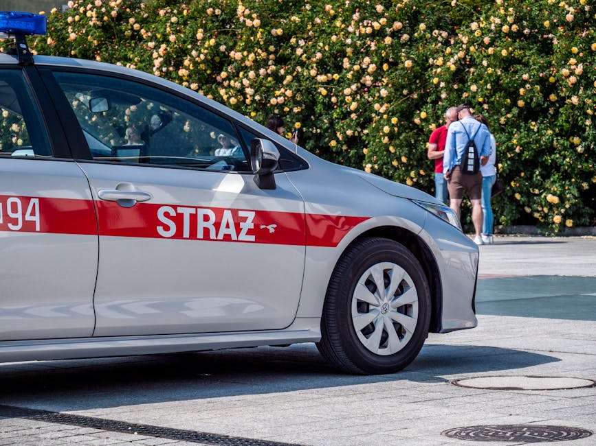 Un adolescent din Craiova fură mașina unchiului și provoacă un incendiu