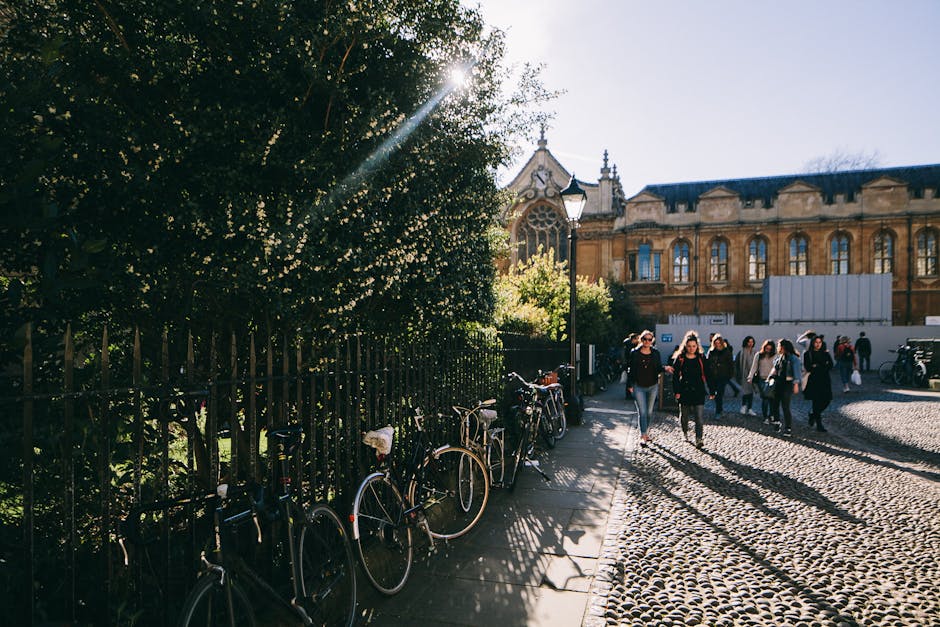 Drumul lung și plin de provocări către Oxford: povestea unui student român