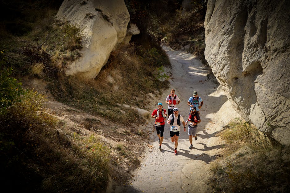 Monor Trail Run: patru curse pentru toți iubitorii de natură și mișcare