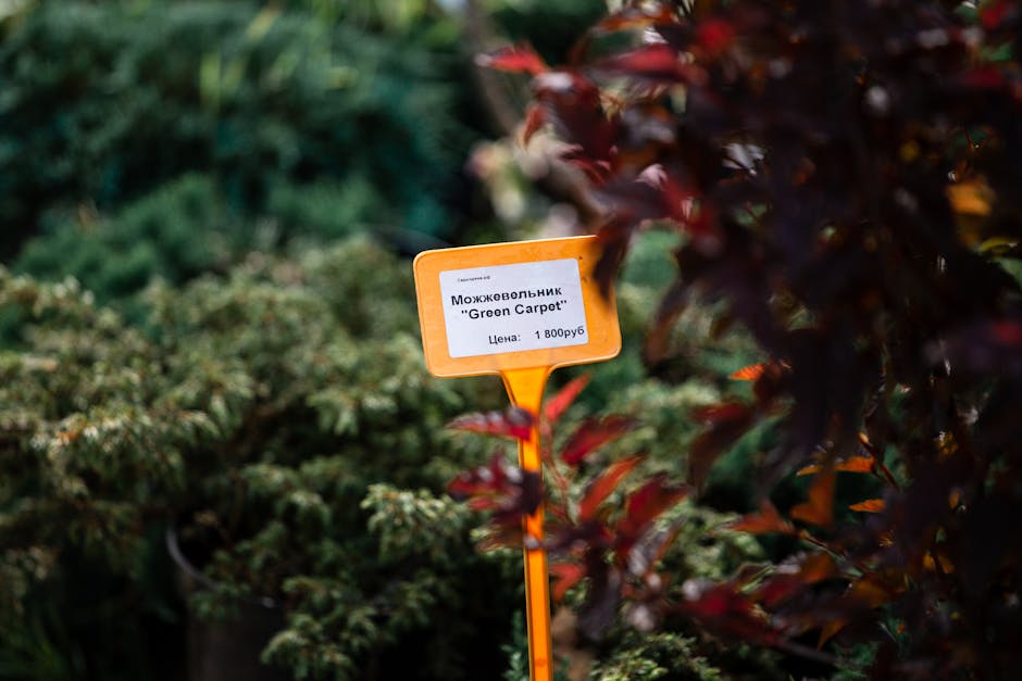 Descoperă Garden Center by Landisa Plant: un nou refugiu pentru iubitorii de grădinărit