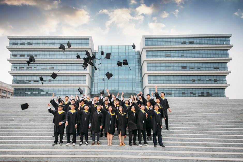 Universitatea din Arad stabilește un record de admitere cu peste 3400 de candidați