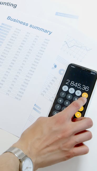 Contabilii români se adaptează la era digitală: eveniment dedicat profesiei la Hunedoara