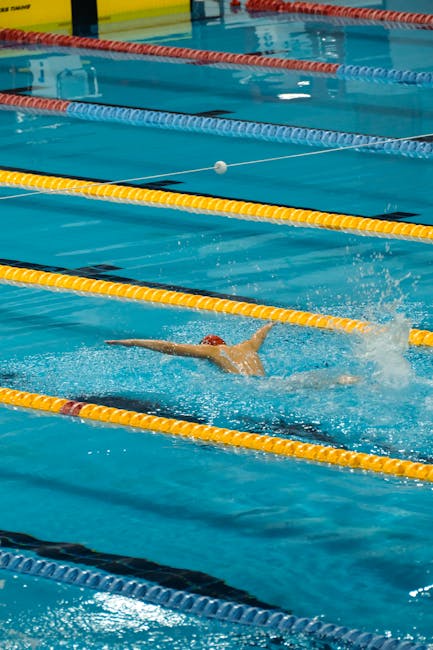 Înotătorii din Baia Mare își testează abilitățile la Campionatele Internaționale ale României