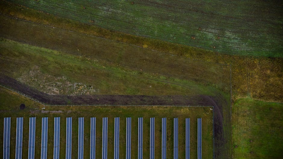 Nouă oportunitate de achiziție pentru un parc agrofotovoltaic inovator