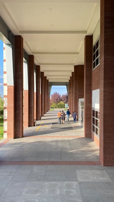 Transformarea campusului universitar din Timișoara: Cămine și cantină modernizate