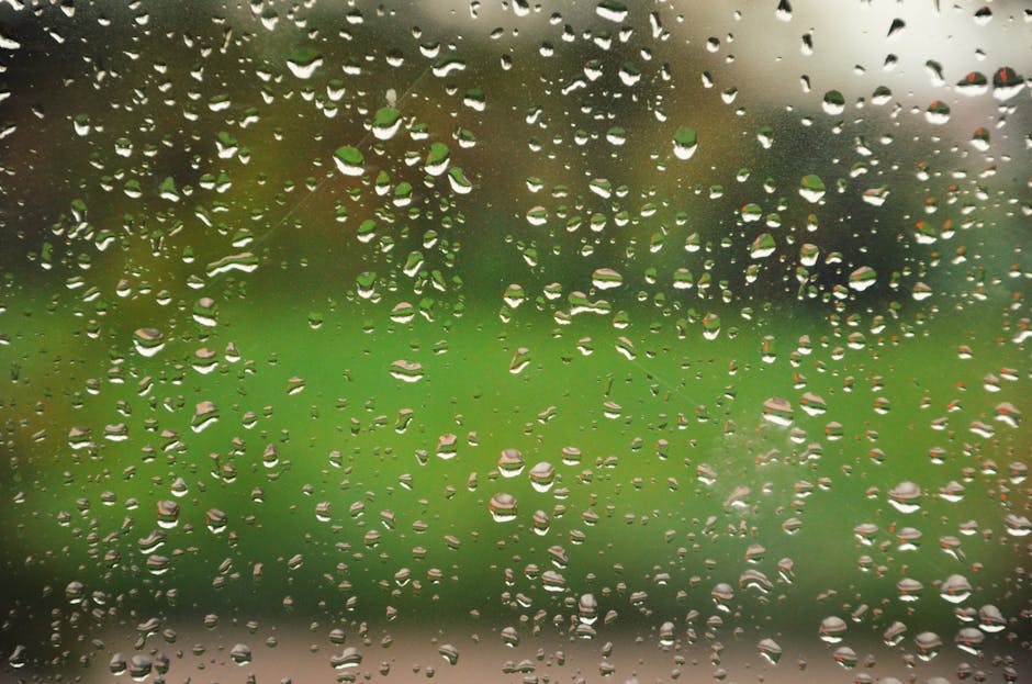 Prognoza meteo pentru 23 octombrie 2026: ploi și temperaturi în scădere în toată țara