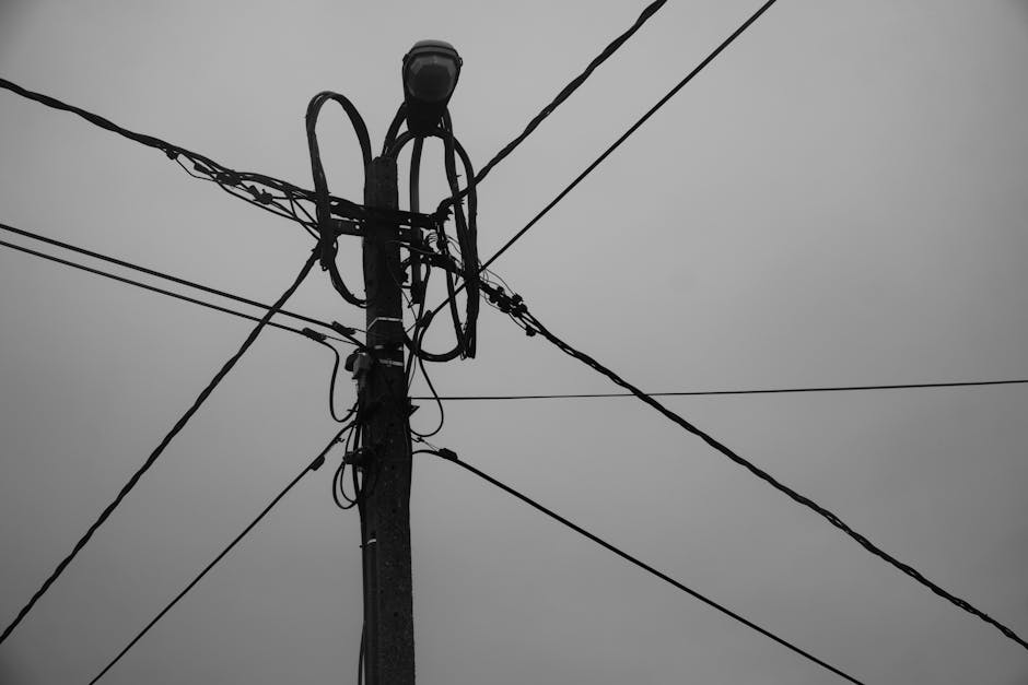 Primarul din Mureș și electricianul, acuzați de furt de energie electrică