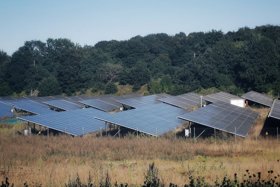 Europenii își transformă terasele și aleile în surse de energie solară
