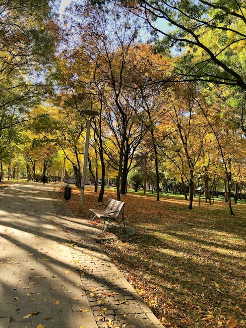 Transformarea Insulei Lacul Morii: un premiu pentru un parc dedicat comunității