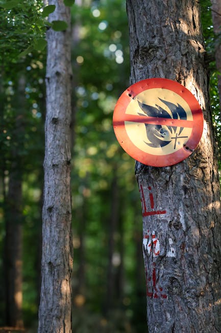 Prevenirea incendiilor de vegetație: Campania IGSU care salvează vieți