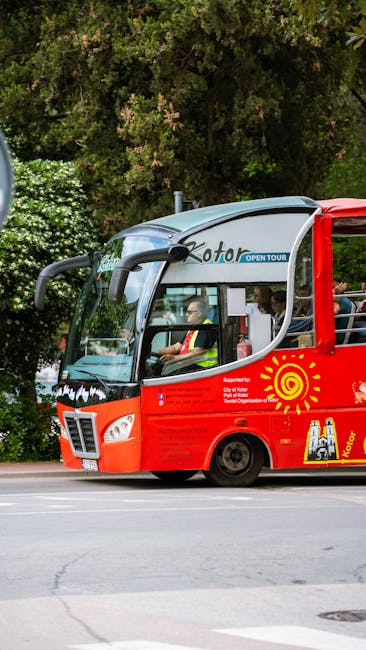 Cazul controversat al turiștilor irlandezi amendați în Brașov: A fost o neînțelegere?