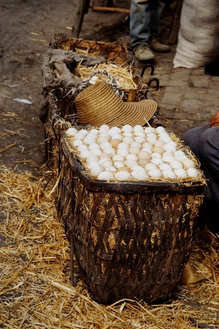 Descoperă comorile agricultorilor giurgiuveni la târgul din septembrie