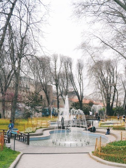 Transformarea Fântânii cu Cireși: un nou spațiu de relaxare în Câmpina