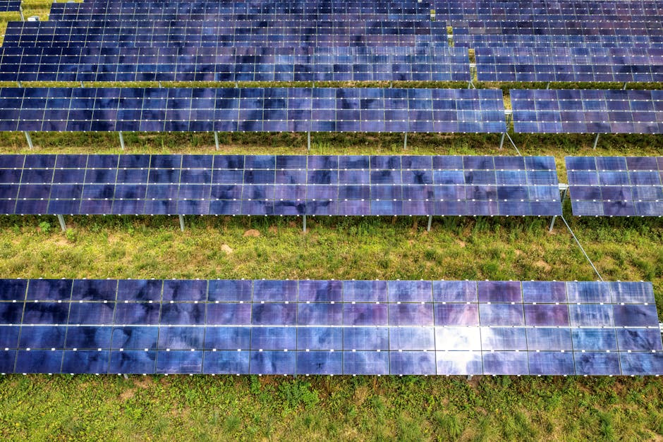 Carmistin investește în viitorul economic al Gorjului cu o nouă centrală fotovoltaică