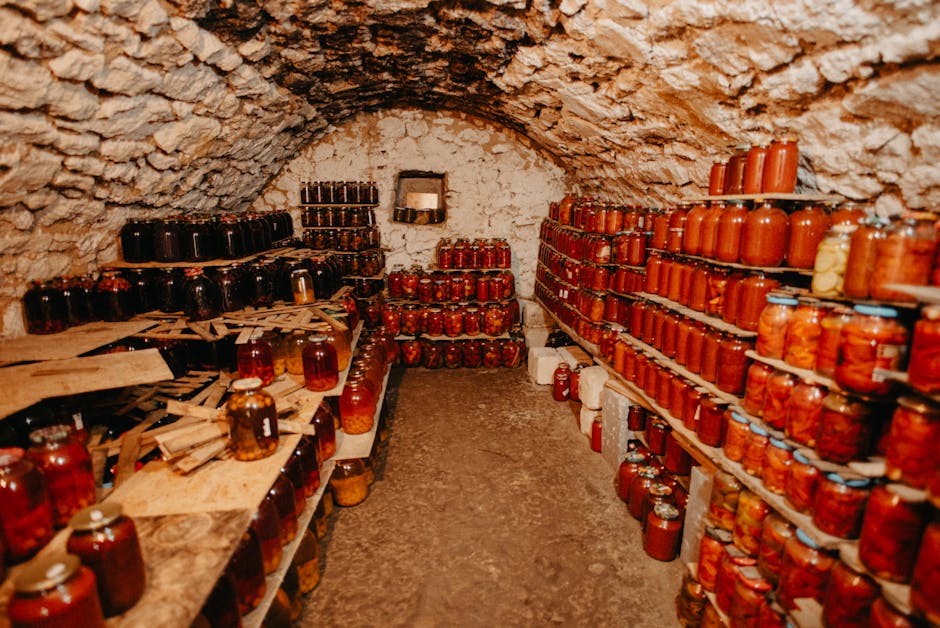 Pericolul ascuns al fermentării mustului: avertismente importante pentru sălăjeni