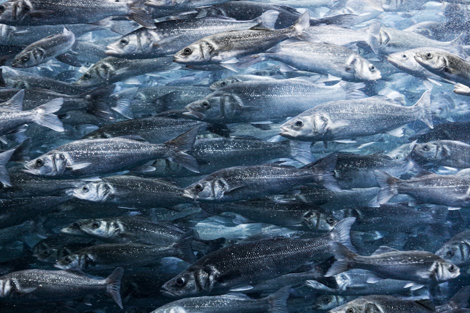 Marea Mediterană în criză: invaziile biologice amenință ecosistemul