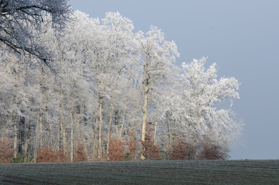 Alertă meteo: temperaturi sub zero grade în județul Arad, nopți înghețate în prognoză
