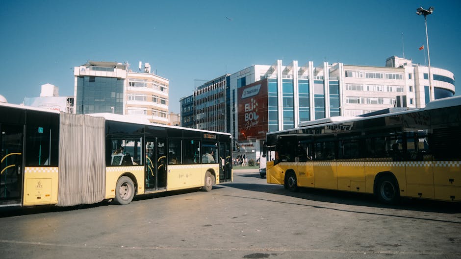 Circulația autobuzelor pe liniile 42, 48 și 101 revine la normal