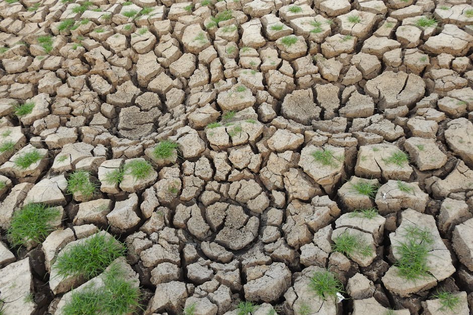 Impactul devastator al schimbărilor climatice asupra sănătății globale