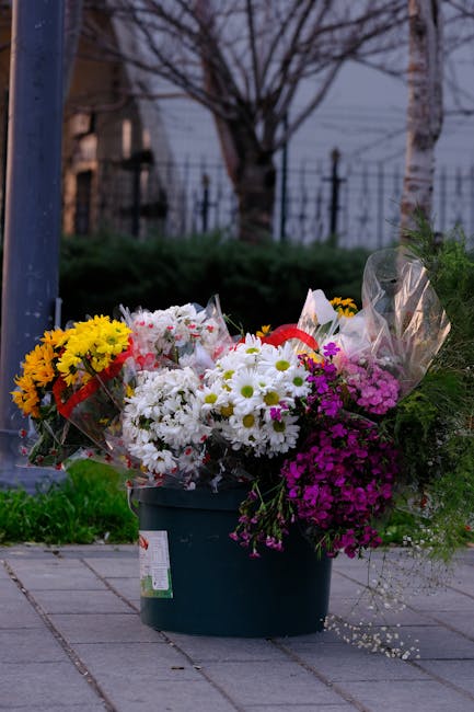 Florile din centrul Ploieștiului dispar fără urmă: autoritățile rămân passive