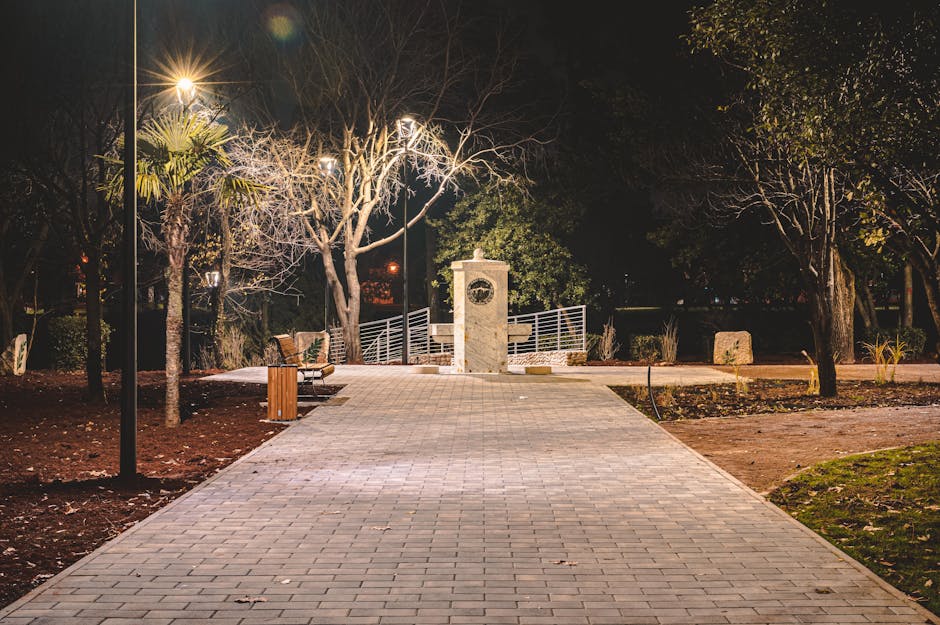 Tensiuni în Consiliul Local: proiectul Parcului Municipal amânat pentru o nouă dezbatere