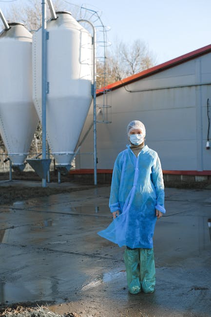 Decizii importante în Ialomița: Siguranța alimentelor și statistici pentru 2025