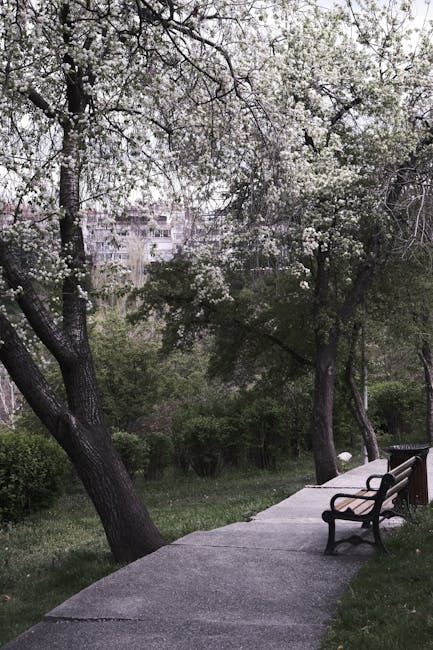 Hunedoara se transformă: florile de primăvară încep să prindă viață