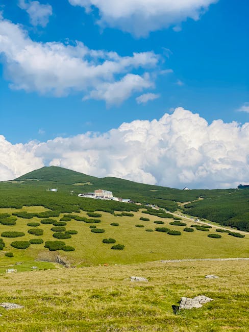 Investițiile în Bucegi, accelerate de finalizarea planului de management