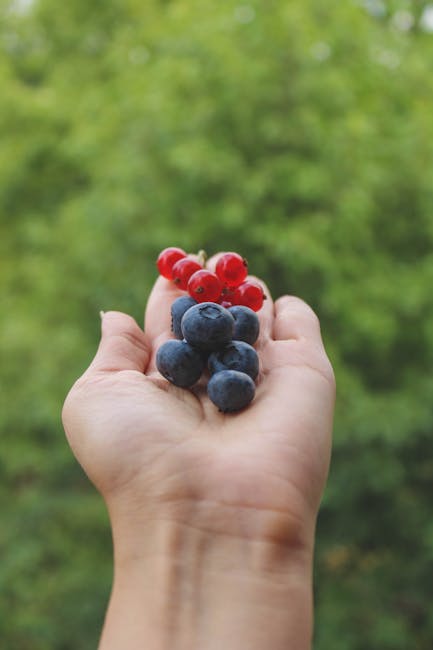 Stresul oxidativ: Cum ne afectează sănătatea și rolul antioxidanților în protecție