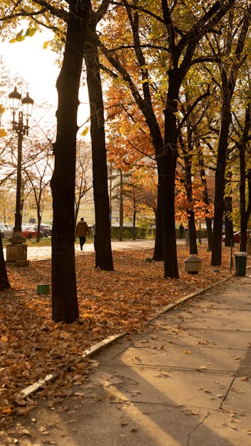 Schimbări meteorologice extreme în România: de la îngheț la căldură de vară