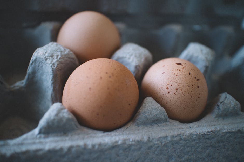 Focar alarmant de salmonella în Belgia: peste 300 de cazuri raportate