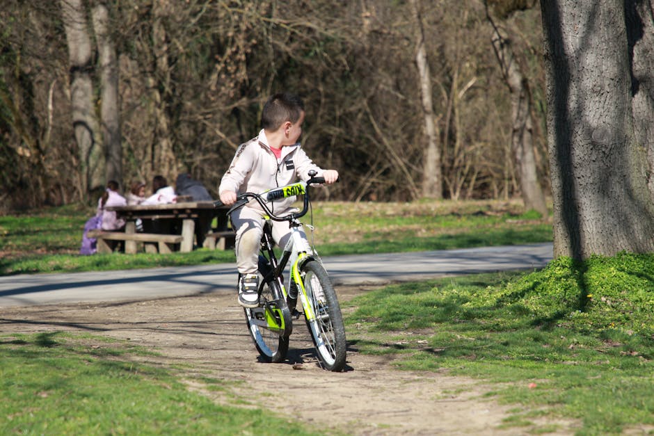 Primăvara aduce distracție în Parva: bărcuțe, parc de aventură și trasee pentru biciclete