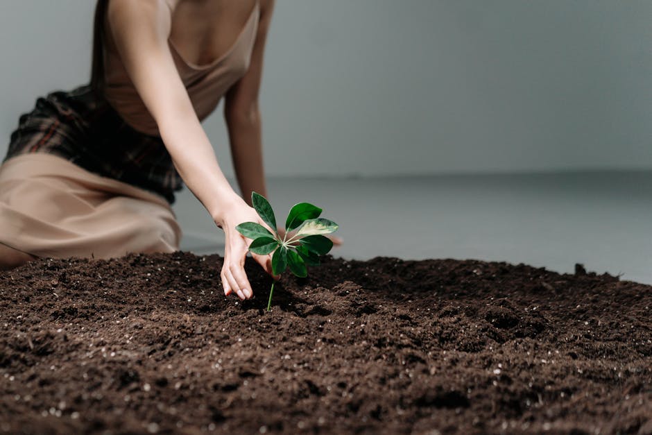 Soluții naturale pentru regenerarea solului la Moldova Nouă: un experiment promițător
