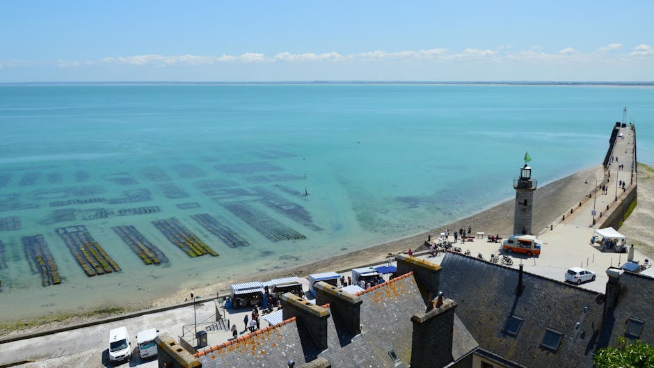 Aproape 5.000 de turiști au ales marea pentru Paște, cu scoici proaspete la terase
