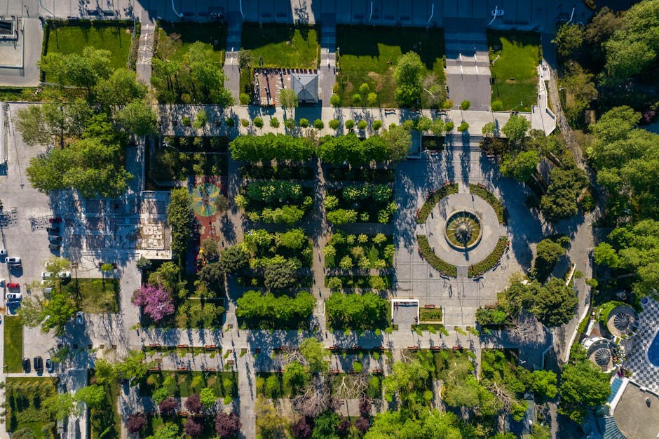 Transformarea Parcului Central din Băile Felix: un nou început pentru turiști și localnici